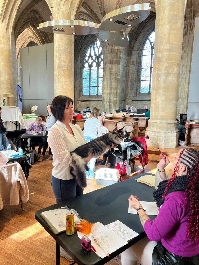 Kaemon fait une entrée remarquée sur la scène des expo félines