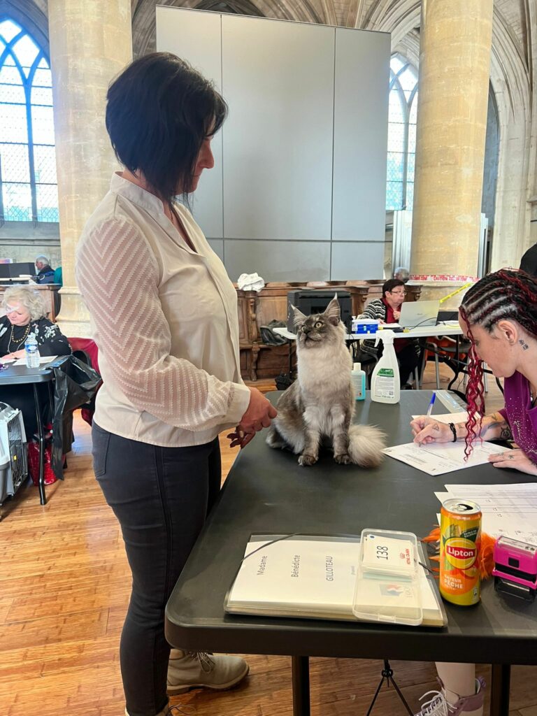 Zelda gagne ses premiers points CAC