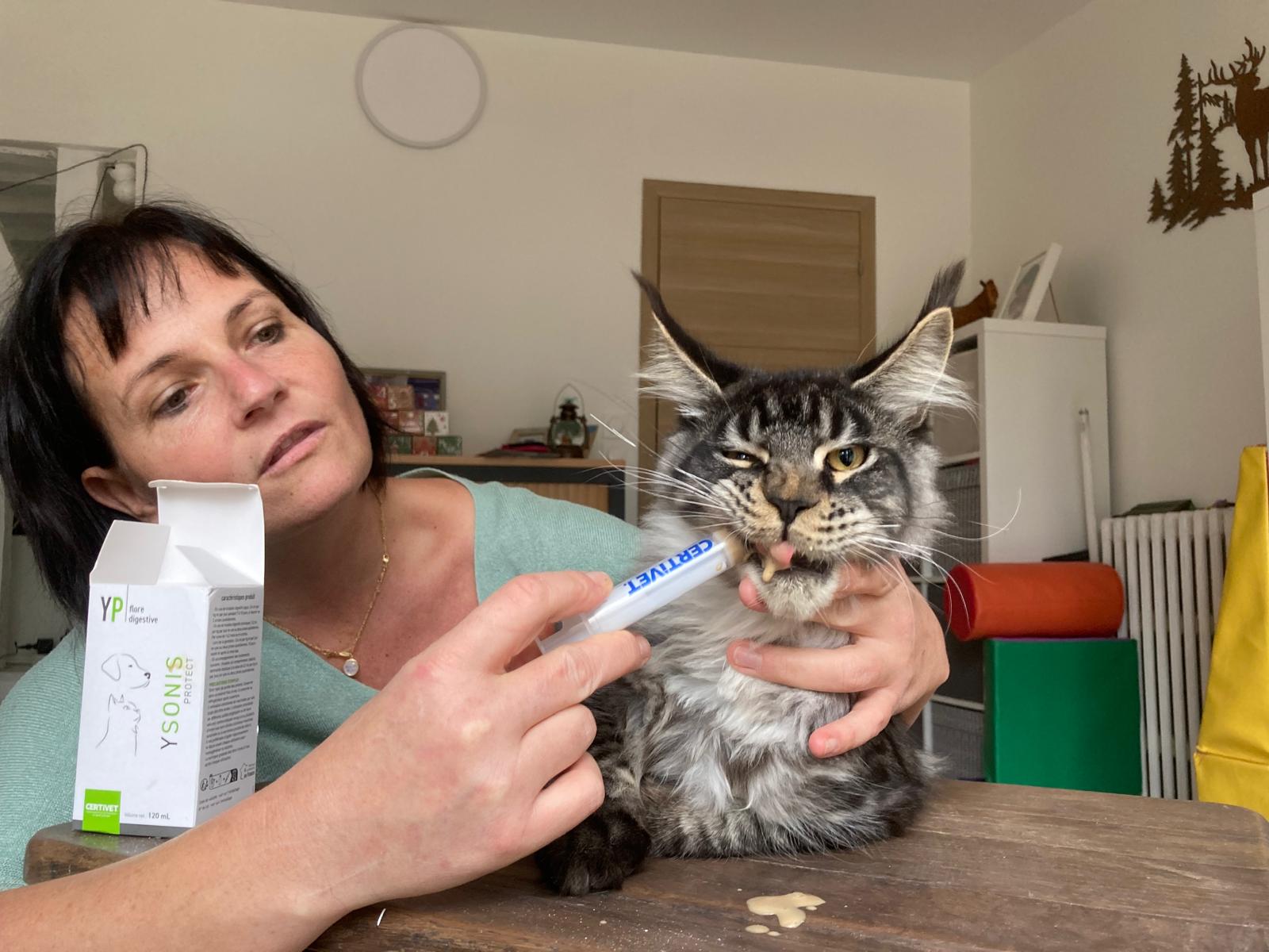 Kaemon reçoit sa dose de probiotiques Ysonis Protect