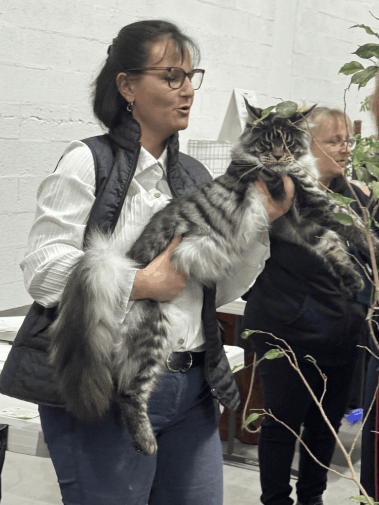 Résultats de Dammarie les Lys