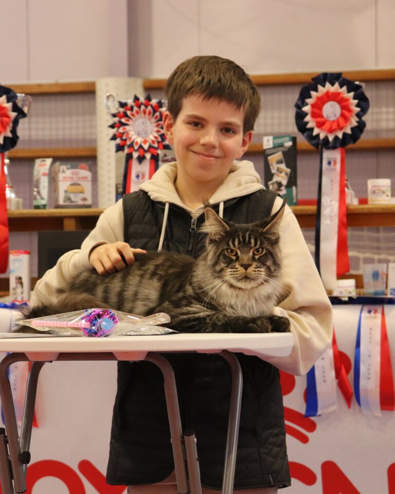 Résultats St Jean de Daye