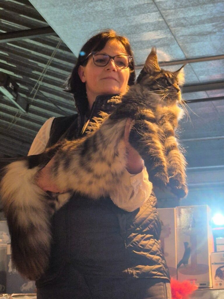 Résultats de Cambrai