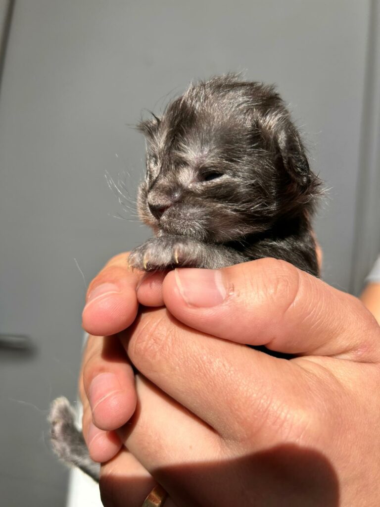 WhatsApp Image 2026-03-29 at 11.22.30 AM