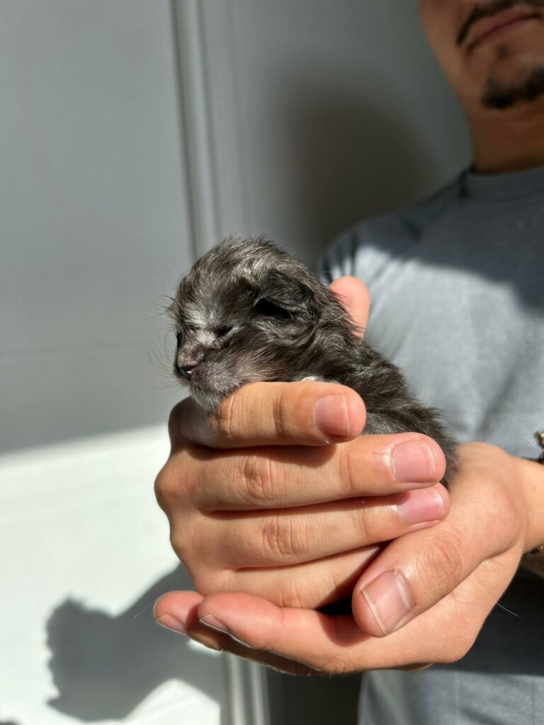 WhatsApp Image 2026-03-29 at 11.22.31 AM